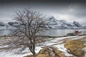 Lofoten And Vesteral Islands Prints: The Winter Wonderland of the Lofoten Peninsular, Arctic circle, Norway
