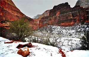 Images Dated 29th December 2009: Winter in Zion National Park, Utah, southwest United States of America