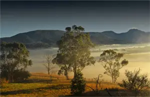 Winters morning with mist rising at dawn in the Huon Valley in southern Tasmania
