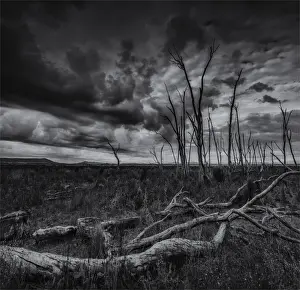 Winton Wetlands, Wangaratta district, Central Victoria