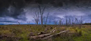 Images Dated 16th June 2022: Winton Wetlands, Wangaratta district, Central Victoria