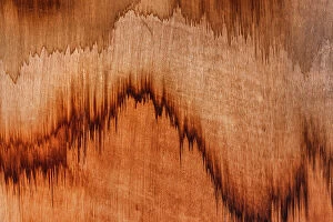 Images Dated 10th August 2023: Wood stains photographed from a close up point of view, Wyndham, Western Australia, Australia