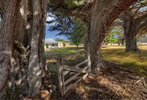 Wybalenna, Flinders Island, Bass Strait, Tasmania, Australia