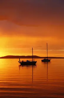 Yachts at dawn. Boston Bay. Australia