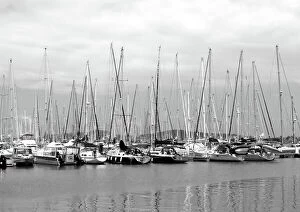 Images Dated 3rd February 2020: Yachts Galore Black & White, Cairns