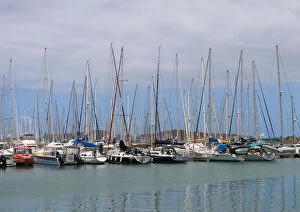 Images Dated 3rd February 2020: Yachts Galore, Cairns