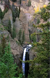 Images Dated 29th July 2013: Yellowstone National Park, Wyoming, western United States of America
