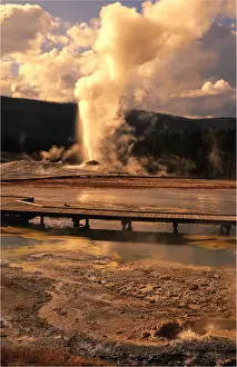 Wyoming Prints: Yellowstone National Park, Wyoming, United States
