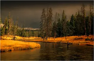 Wyoming Prints: Yellowstone National Park, Wyoming, United States