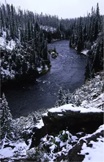 Wyoming Prints: Yellowstone National Park, Wyoming, United States