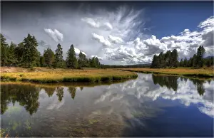 Wyoming Prints: Yellowstone National Park, Wyoming, United States