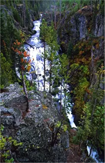 Wyoming Prints: Yellowstone National Park, Wyoming, United States