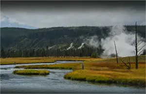 Wyoming Prints: Yellowstone National Park, Wyoming, United States