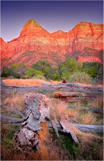 Southwest Usa Prints: Zion National Park, situated in the South-Western area of the United States